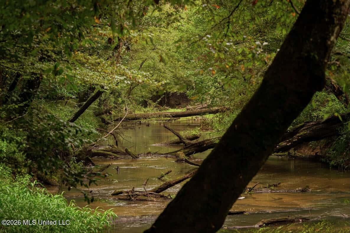 900 Acres for Sale – Hunter’s Paradise South Mississippi