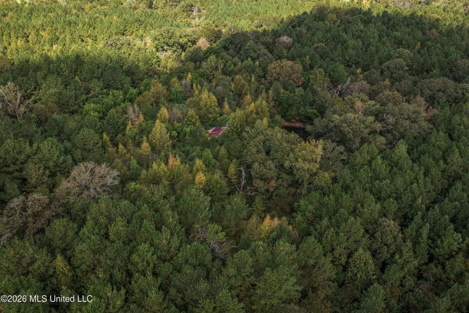 19.7+/- Acres of Wooded Land for Sale in Magnolia, MS