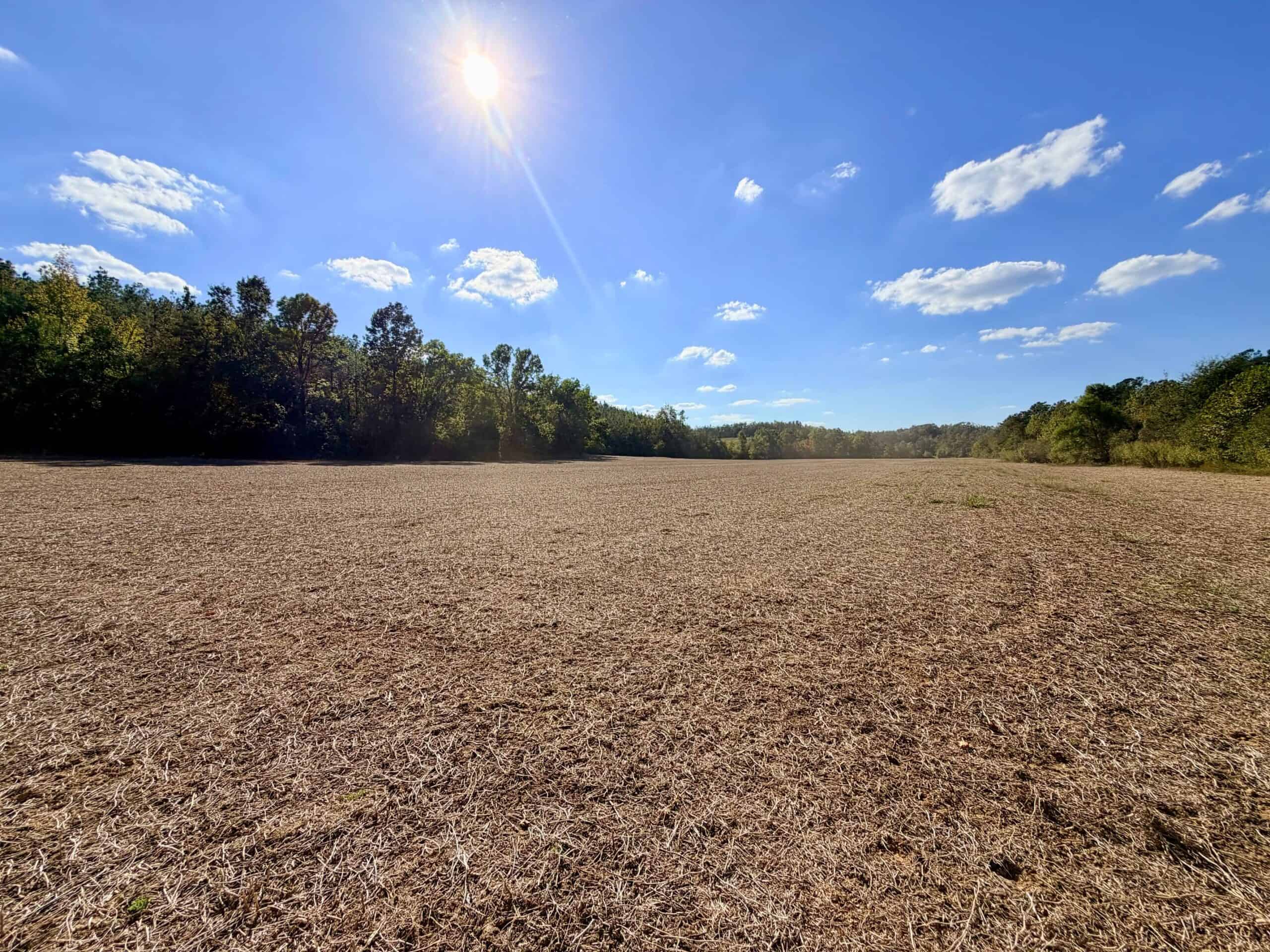 Farm, Breathtaking Home Site, INCREDIBLE Views, Tippah Co., MS
