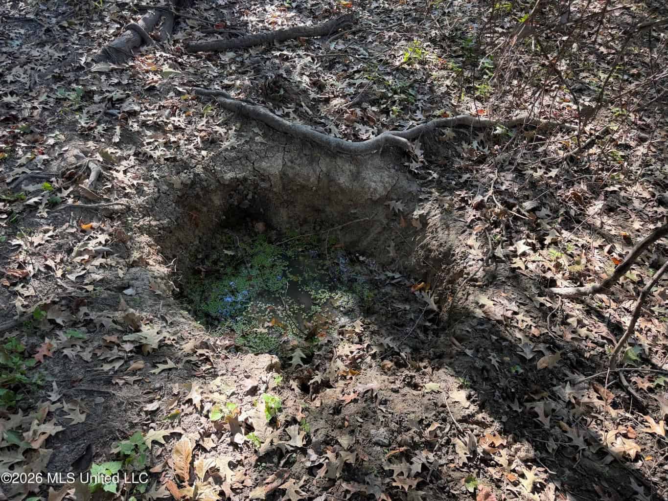 41.22 Acres MS Delta Duck Hunting