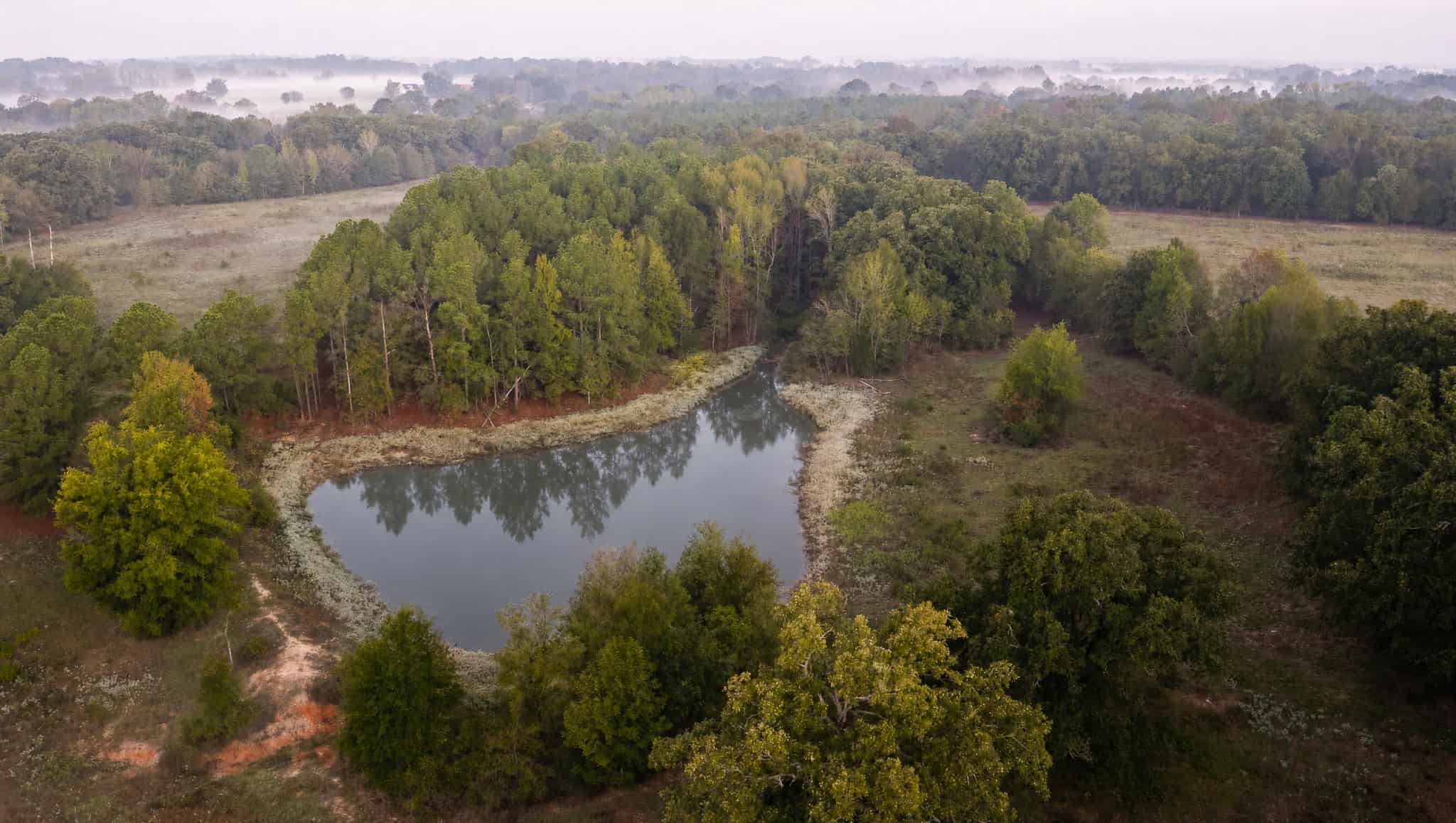 126-Acre Recreational Ranch for Sale in Mineola Texas Wood County
