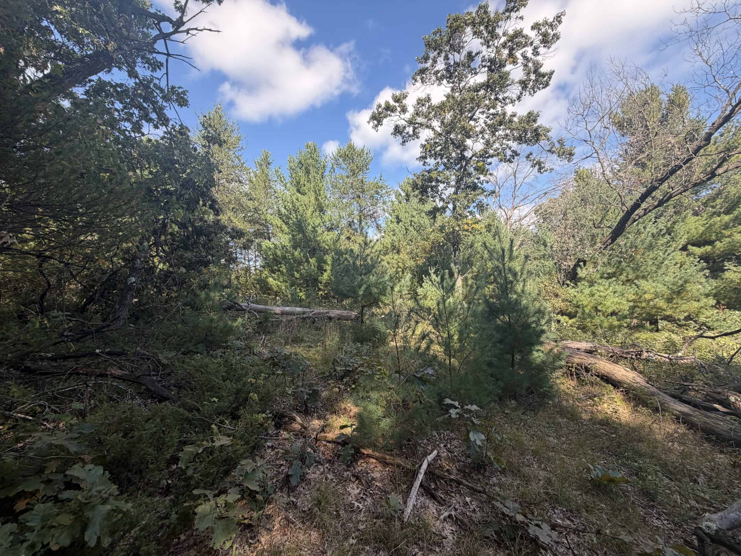 Buildable Hunting and Rec Property in Marquette County WI
