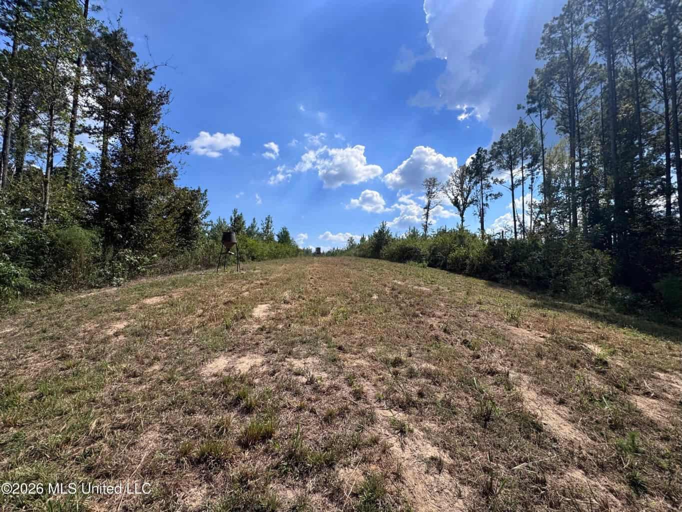 43± Acre Hunting Property in Amite County, MS