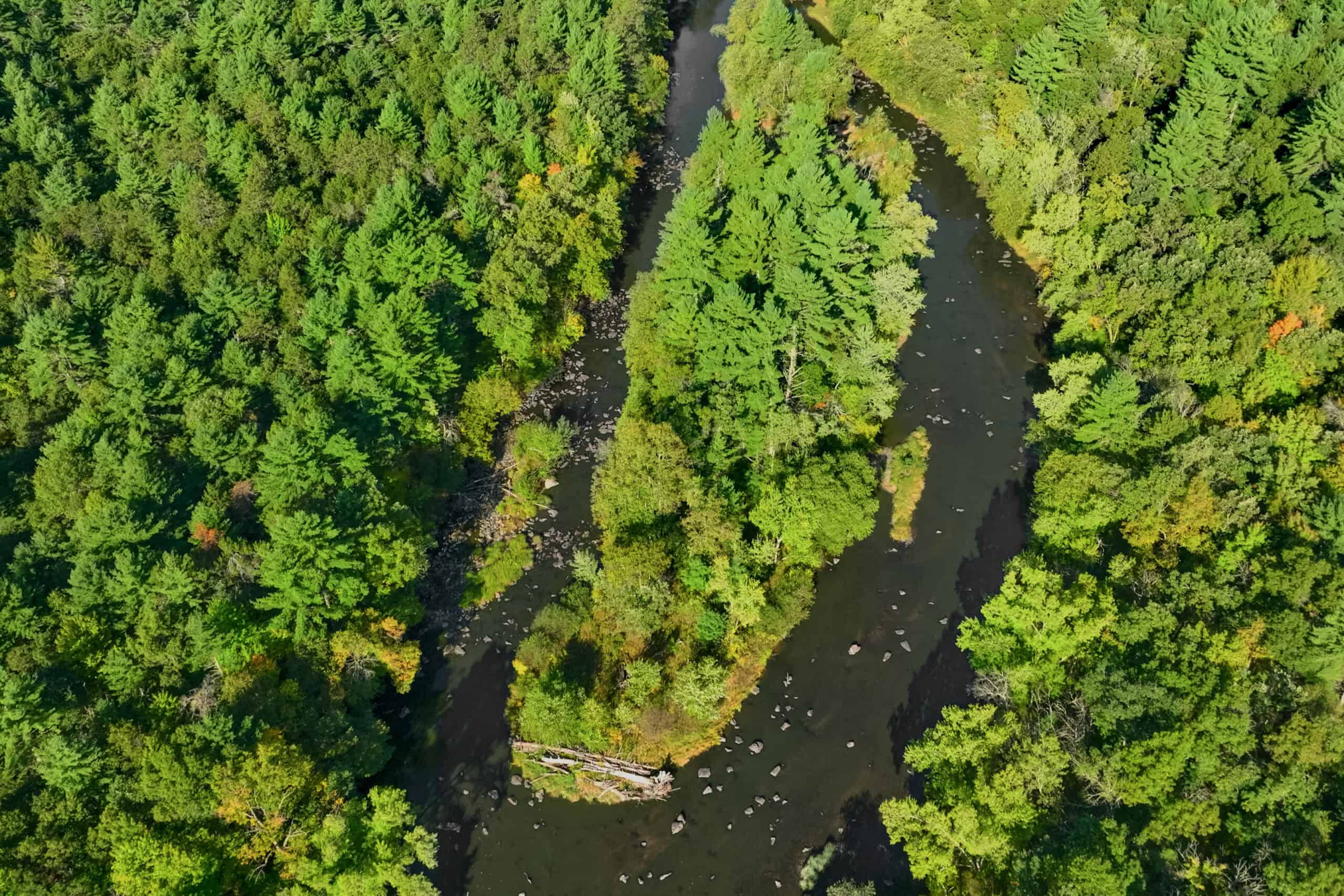 369± acres of premier recreational and hunting land in Eau Claire County