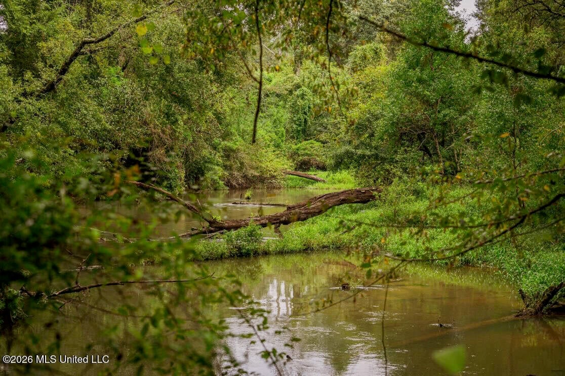 900 Acres for Sale – Hunter’s Paradise South Mississippi