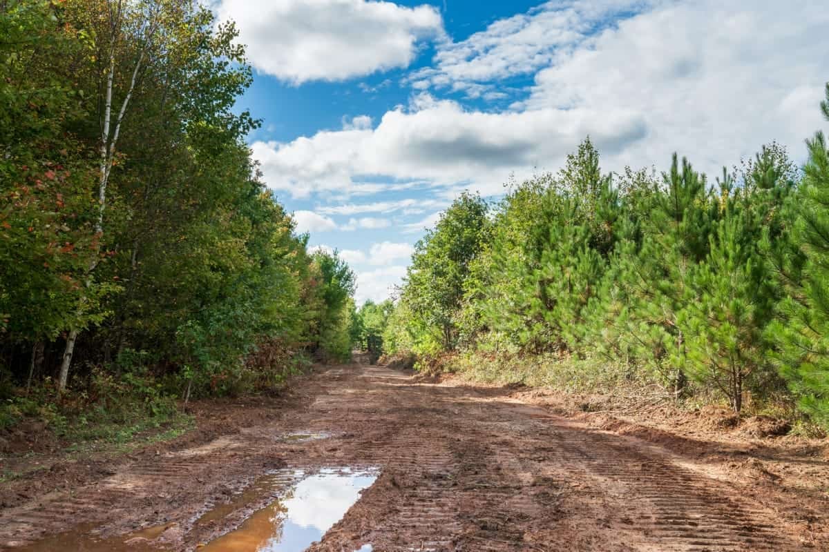 204.74± acres of premier recreational and hunting land in Eau Claire County