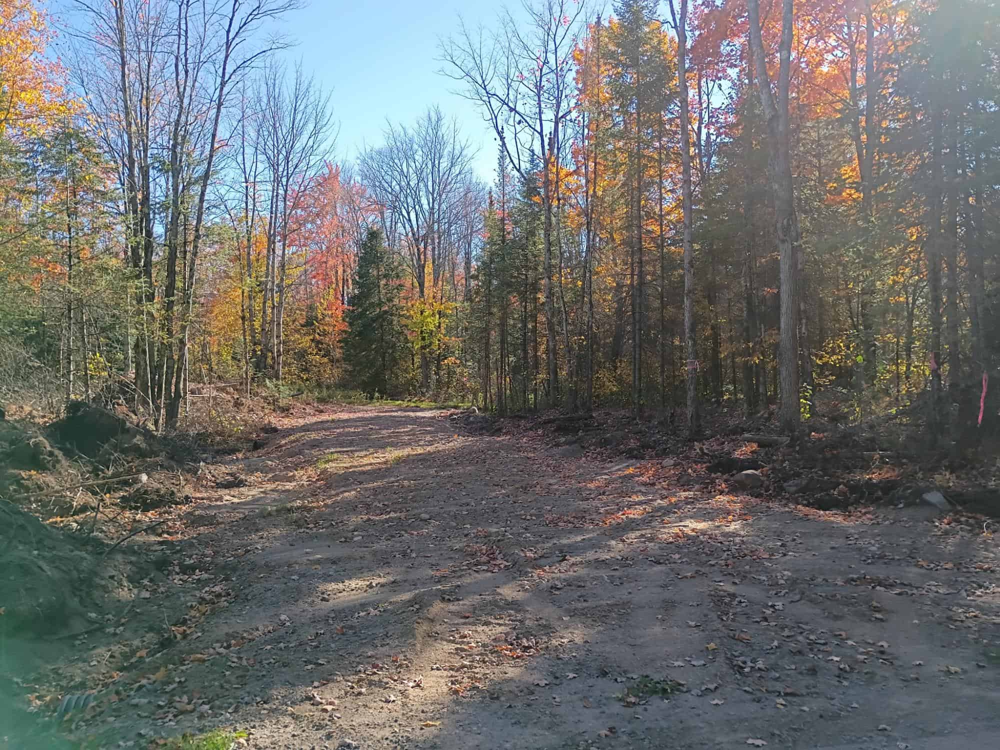 160 ± Acre Hunting Land with Camp Site Near Butternut, WI