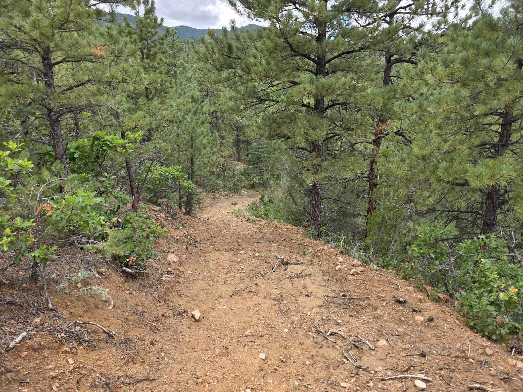 170.68 ± Acre Hunting Ranch by National Forest | Florence, CO