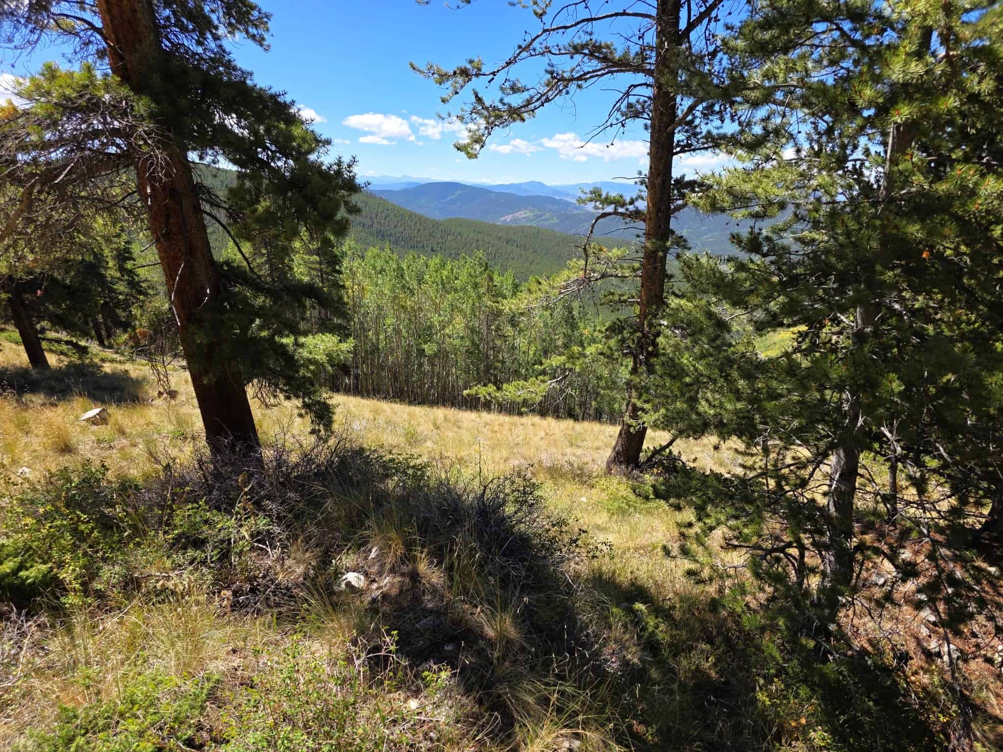 140 ± Acre Mountain Property for Sale in Whitepine, Colorado