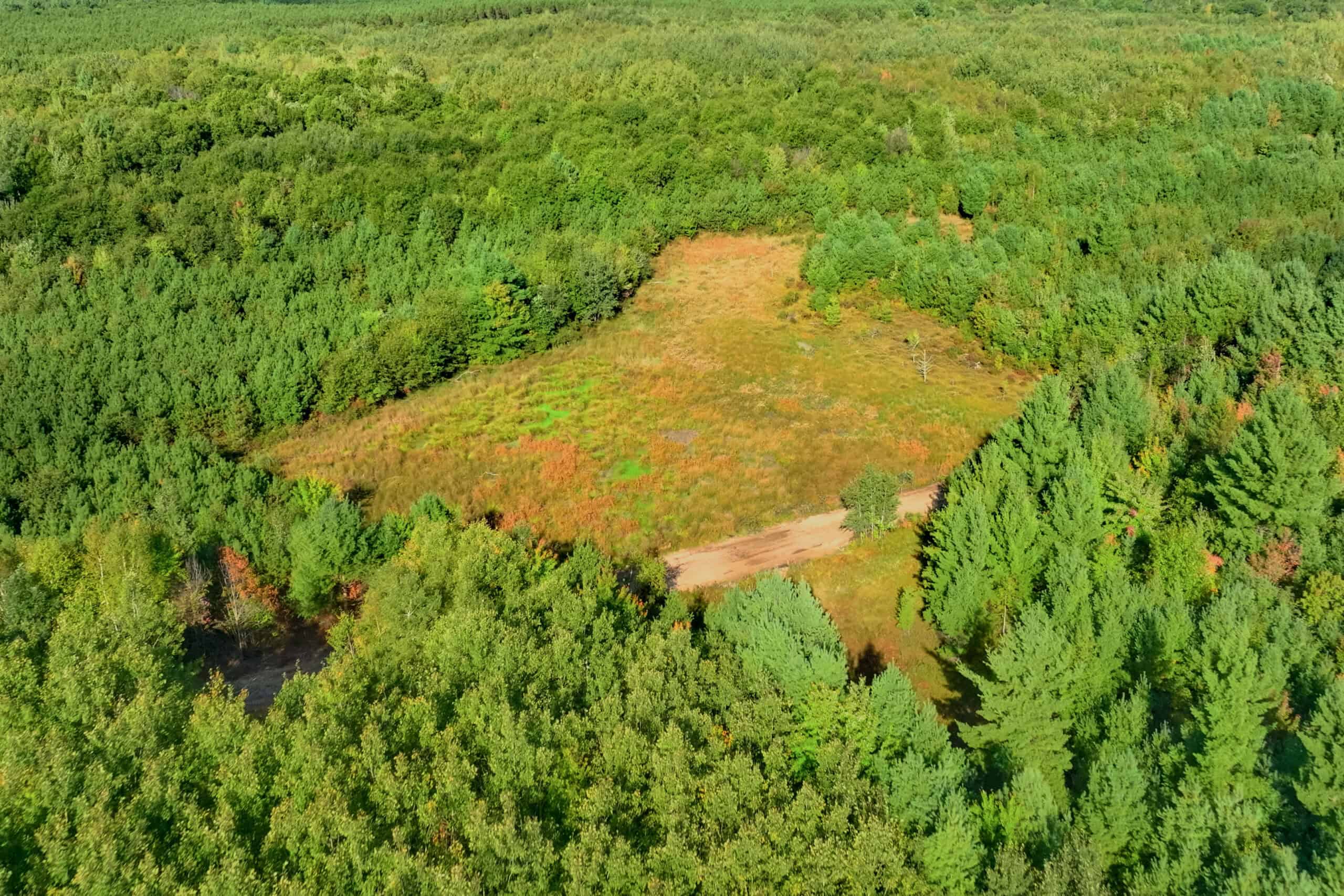 369± acres of premier recreational and hunting land in Eau Claire County