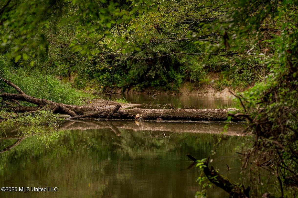 900 Acres for Sale – Hunter’s Paradise South Mississippi