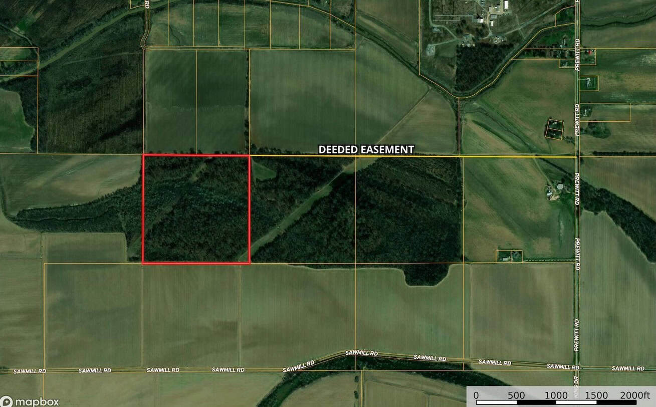 41.22 Acres MS Delta Duck Hunting