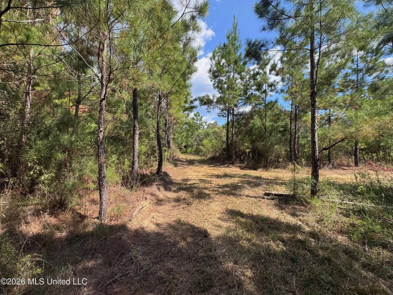 43± Acre Hunting Property in Amite County, MS