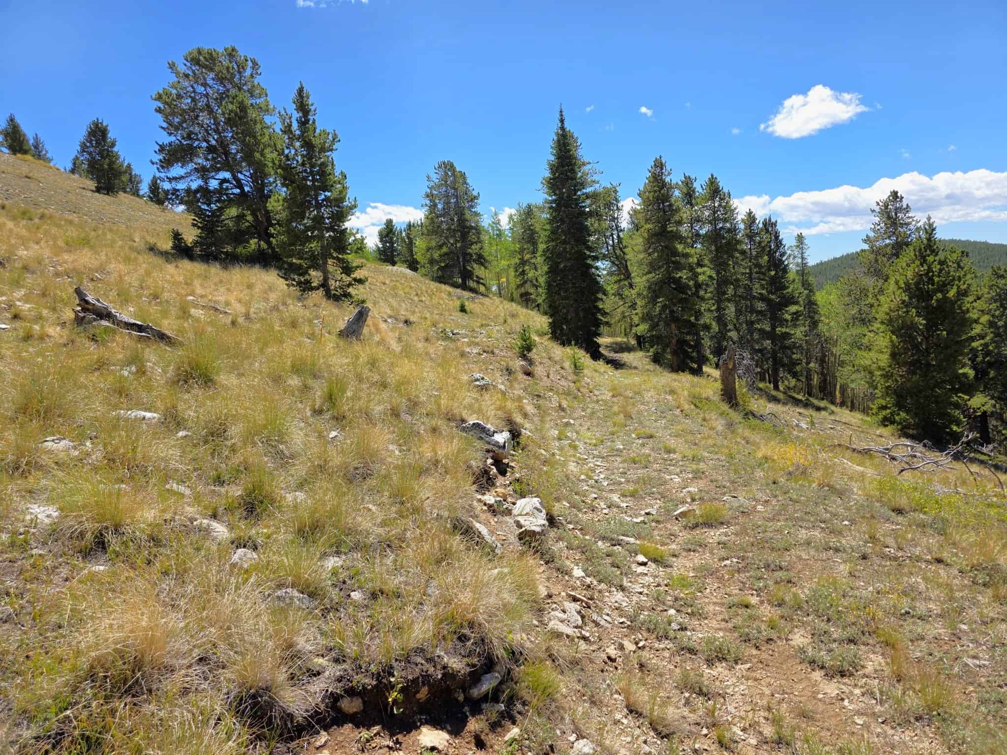 140 ± Acre Mountain Property for Sale in Whitepine, Colorado