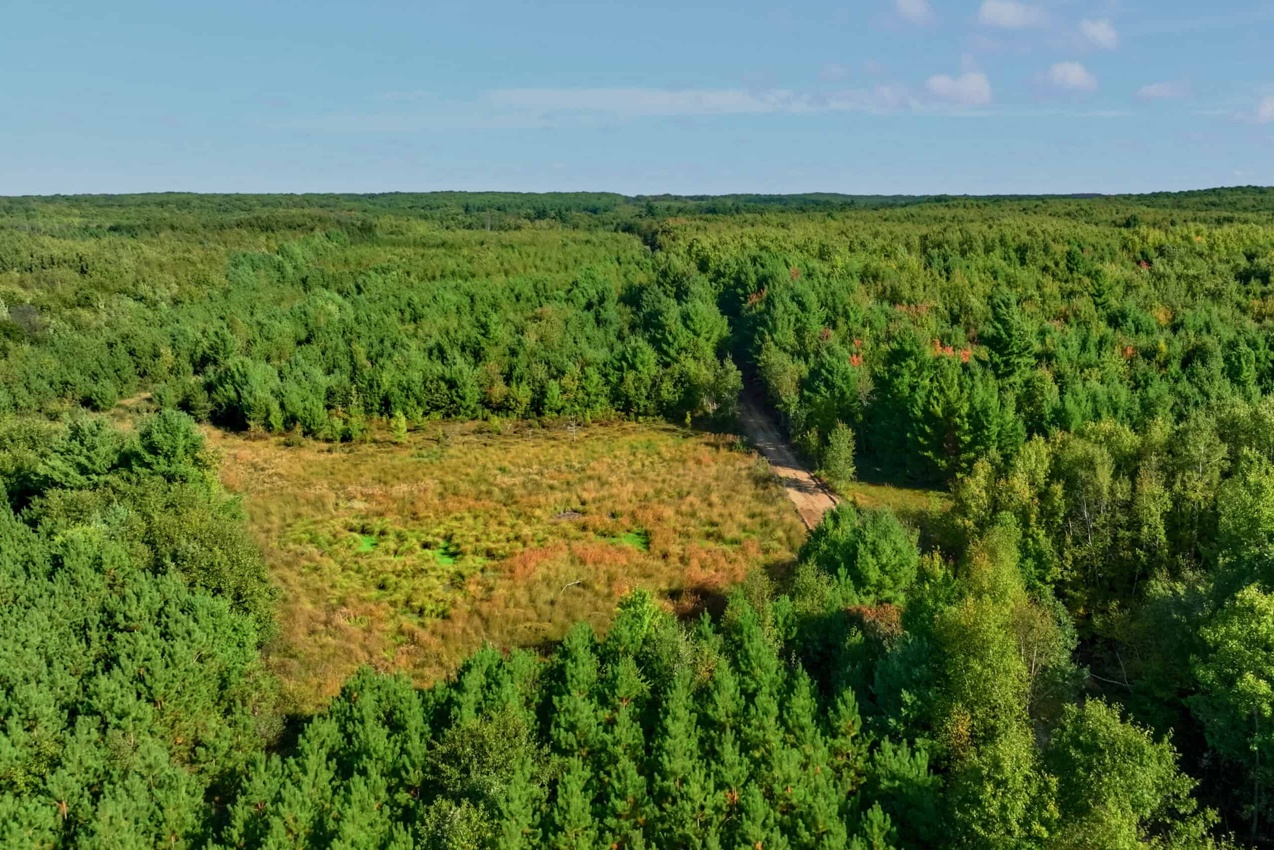 369± acres of premier recreational and hunting land in Eau Claire County