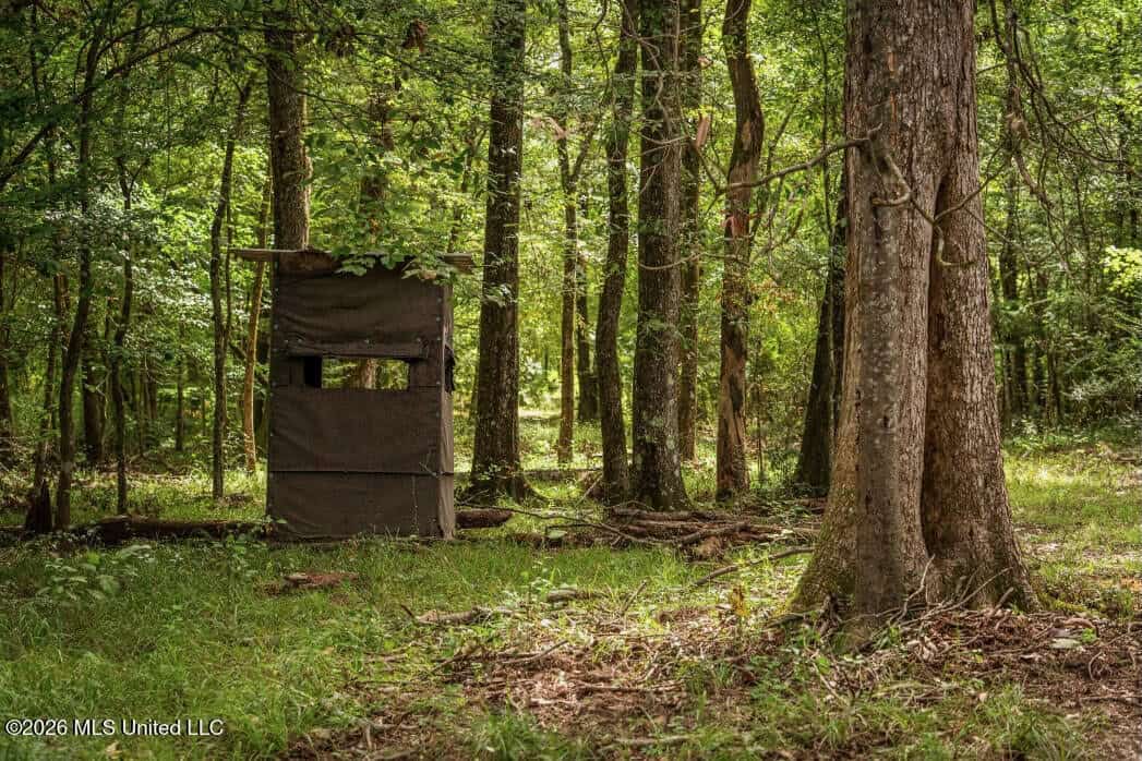 900 Acres for Sale – Hunter’s Paradise South Mississippi