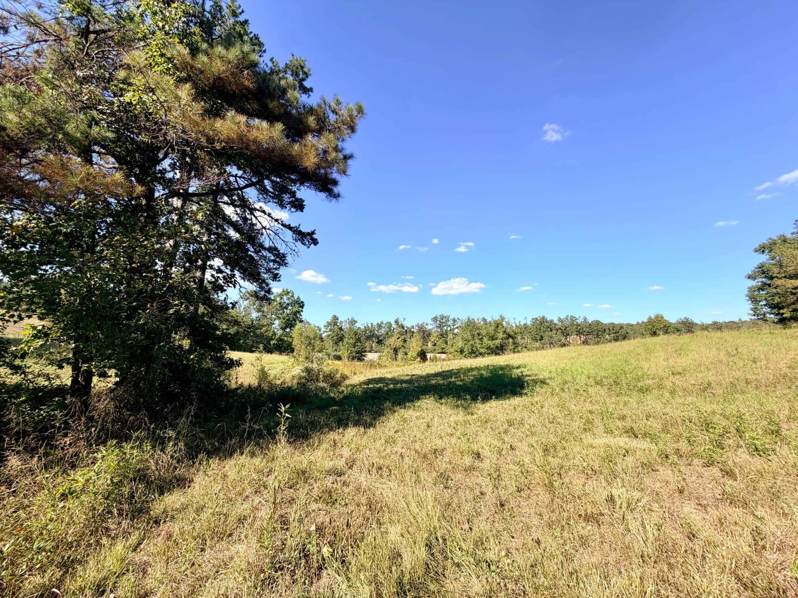 Farm, Breathtaking Home Site, INCREDIBLE Views, Tippah Co., MS