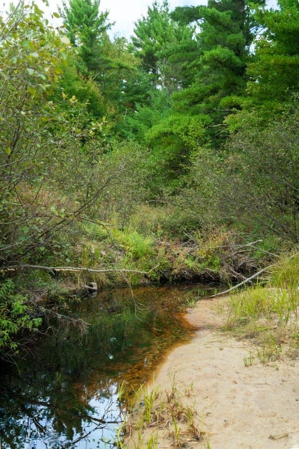 160+/- acres of Western Wisconsin hunting property Eau Claire Cty