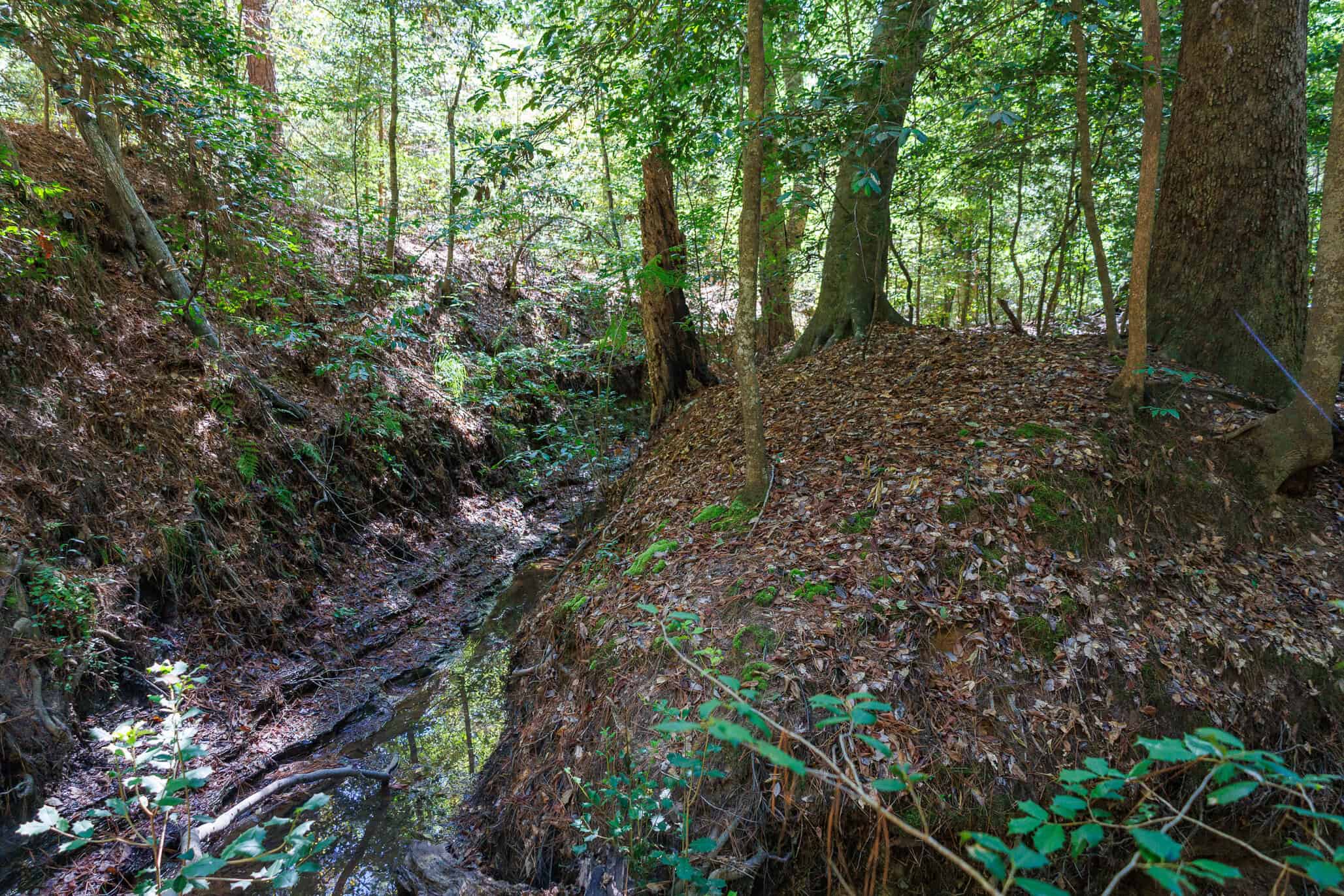 East Texas Recreational Land for Sale Gilmer TX Upshur County | Hunt & Timber