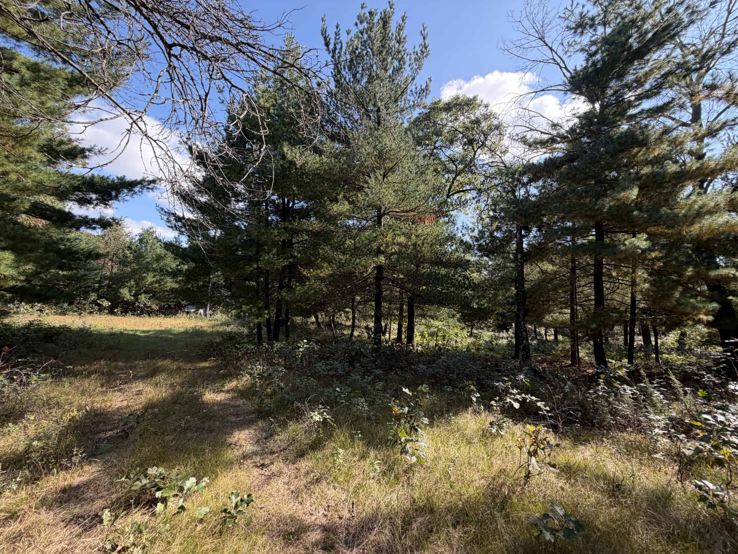Buildable Hunting and Rec Property in Marquette County WI