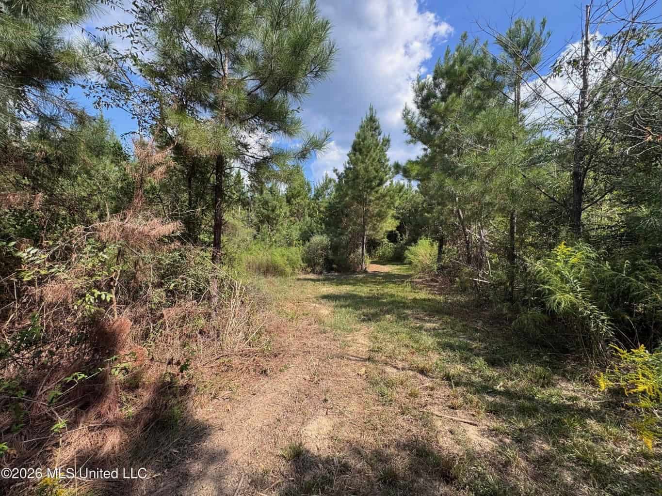 43± Acre Hunting Property in Amite County, MS