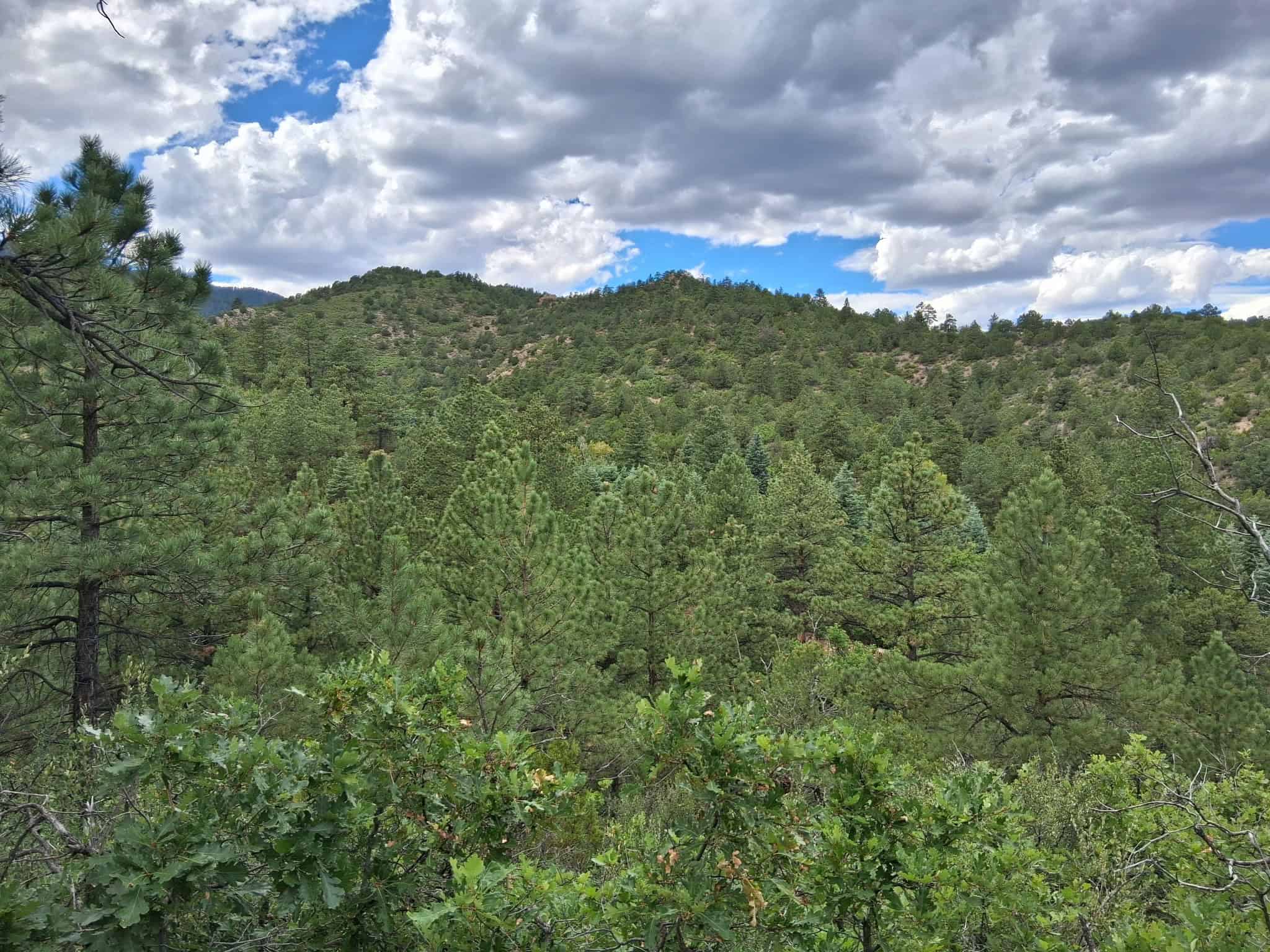 170.68 ± Acre Hunting Ranch by National Forest | Florence, CO