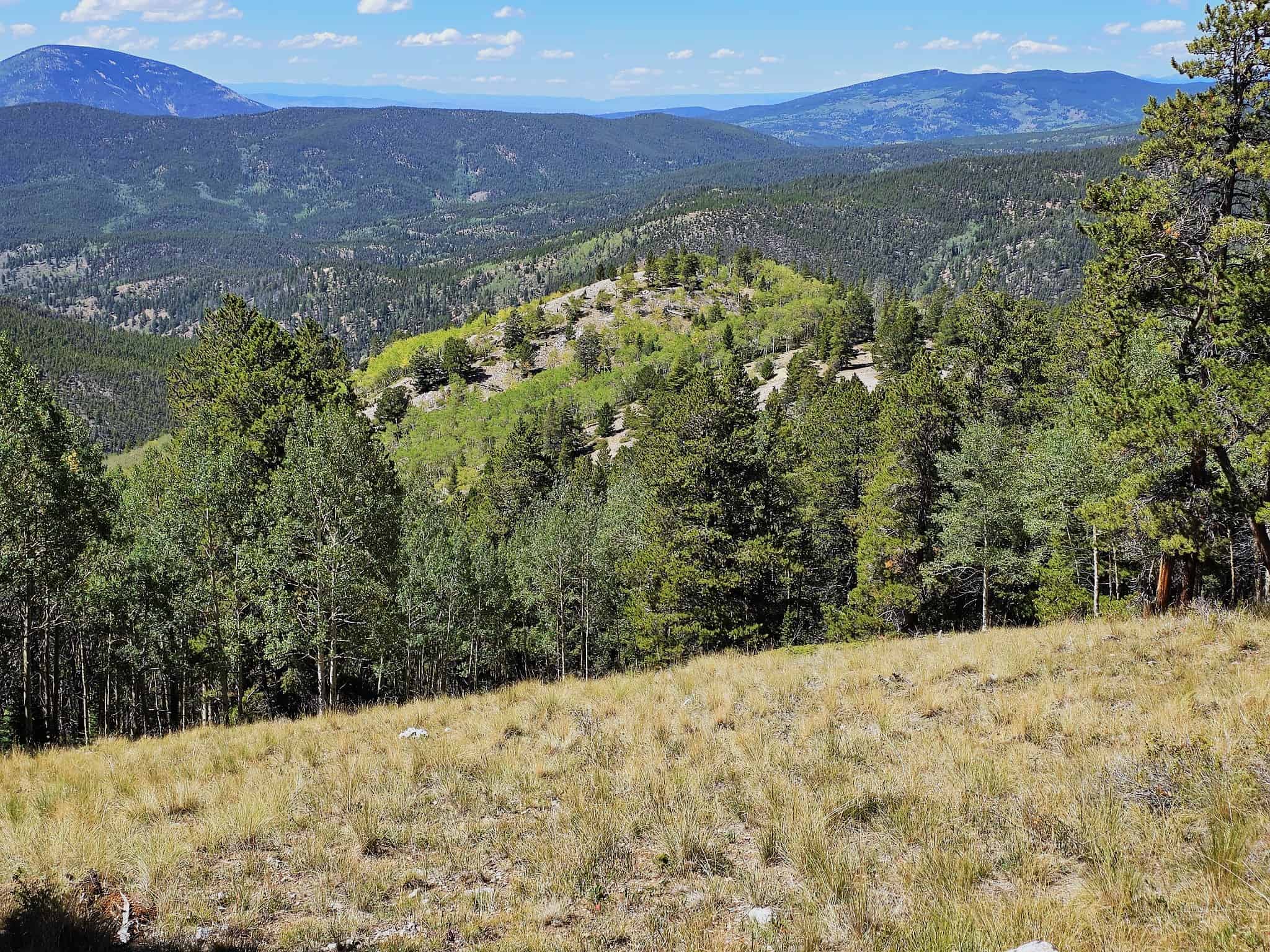 140 ± Acre Mountain Property for Sale in Whitepine, Colorado