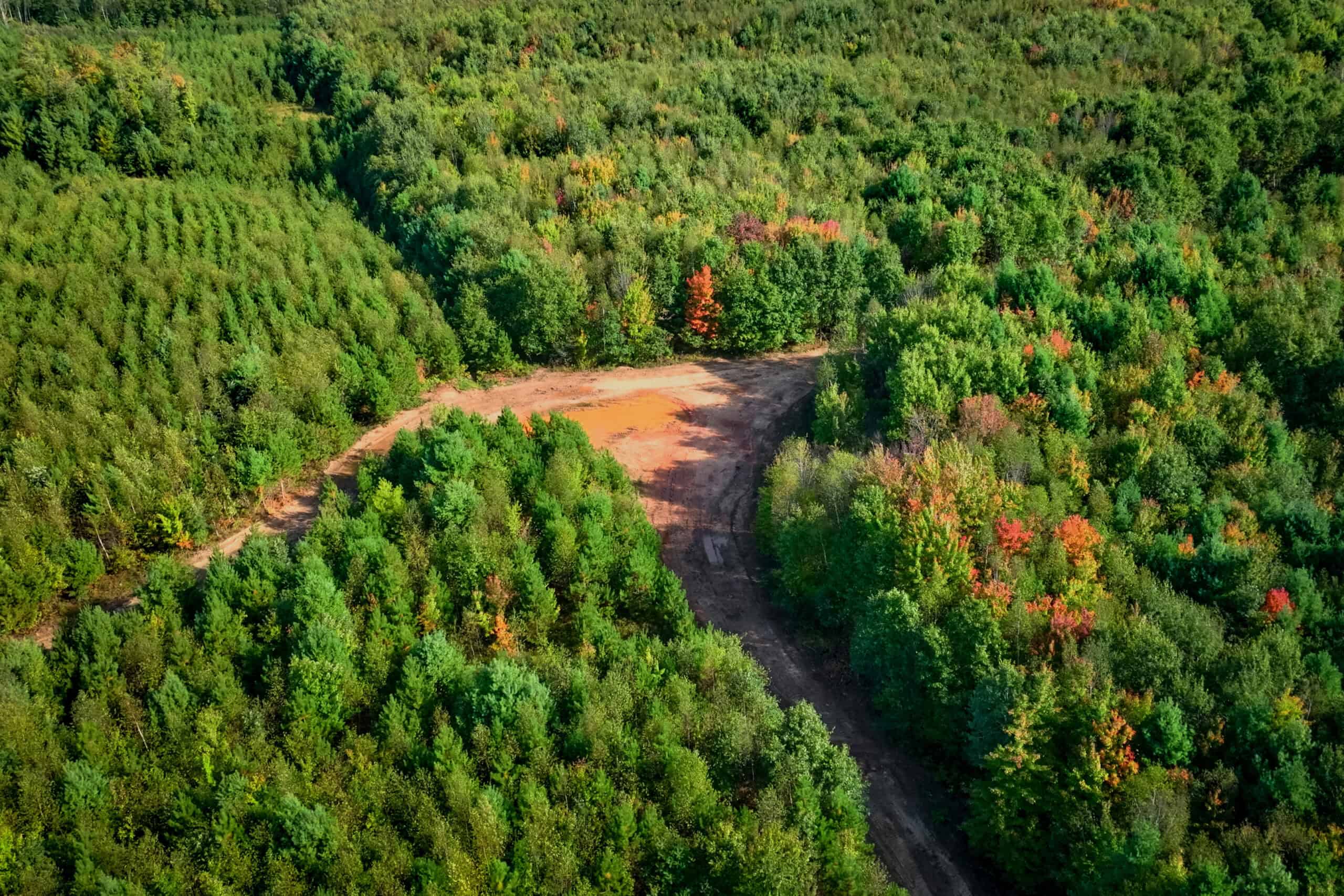 369± acres of premier recreational and hunting land in Eau Claire County