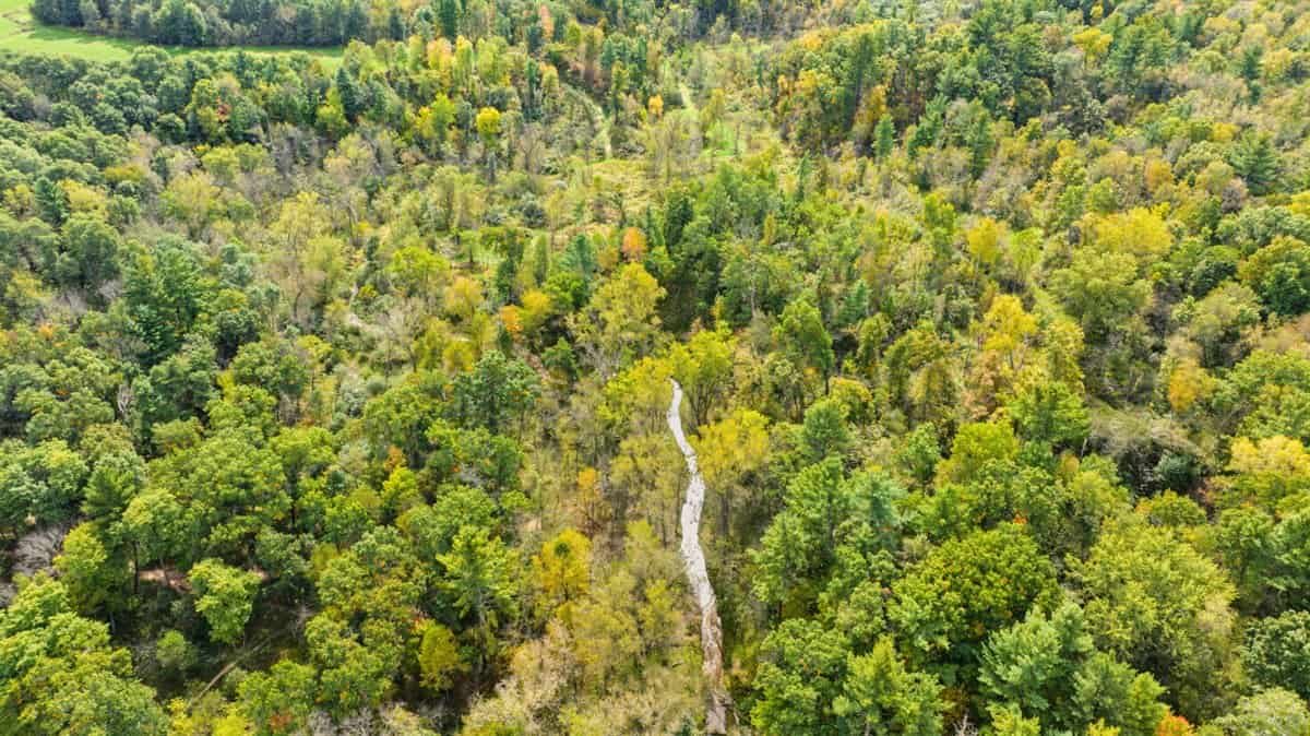 Turnkey 28± Acre Hunting Property Near Melrose, Wisconsin