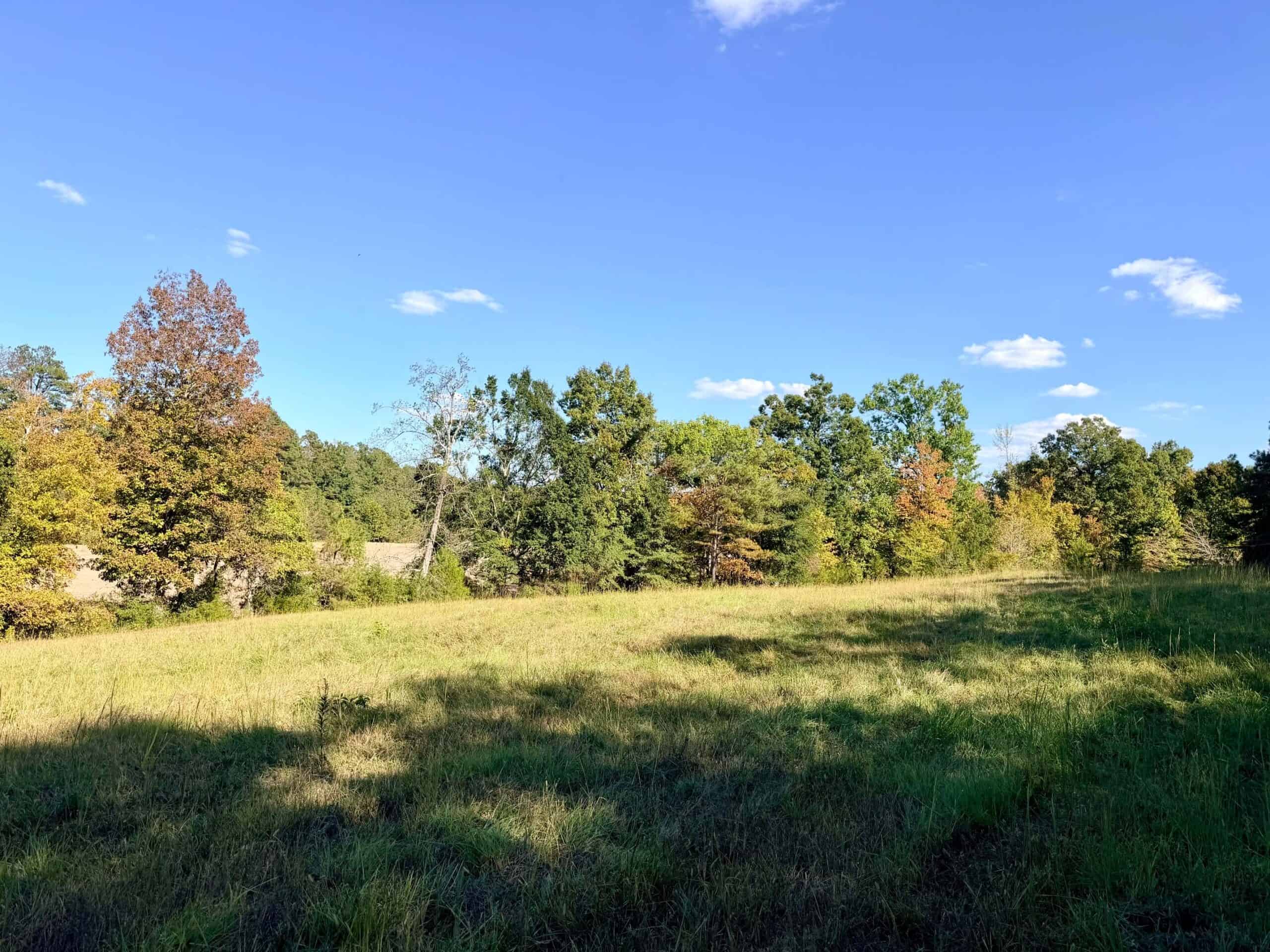 Farm, Breathtaking Home Site, INCREDIBLE Views, Tippah Co., MS