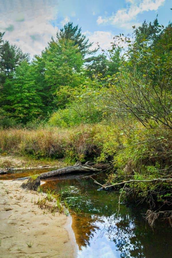 160+/- acres of Western Wisconsin hunting property Eau Claire Cty