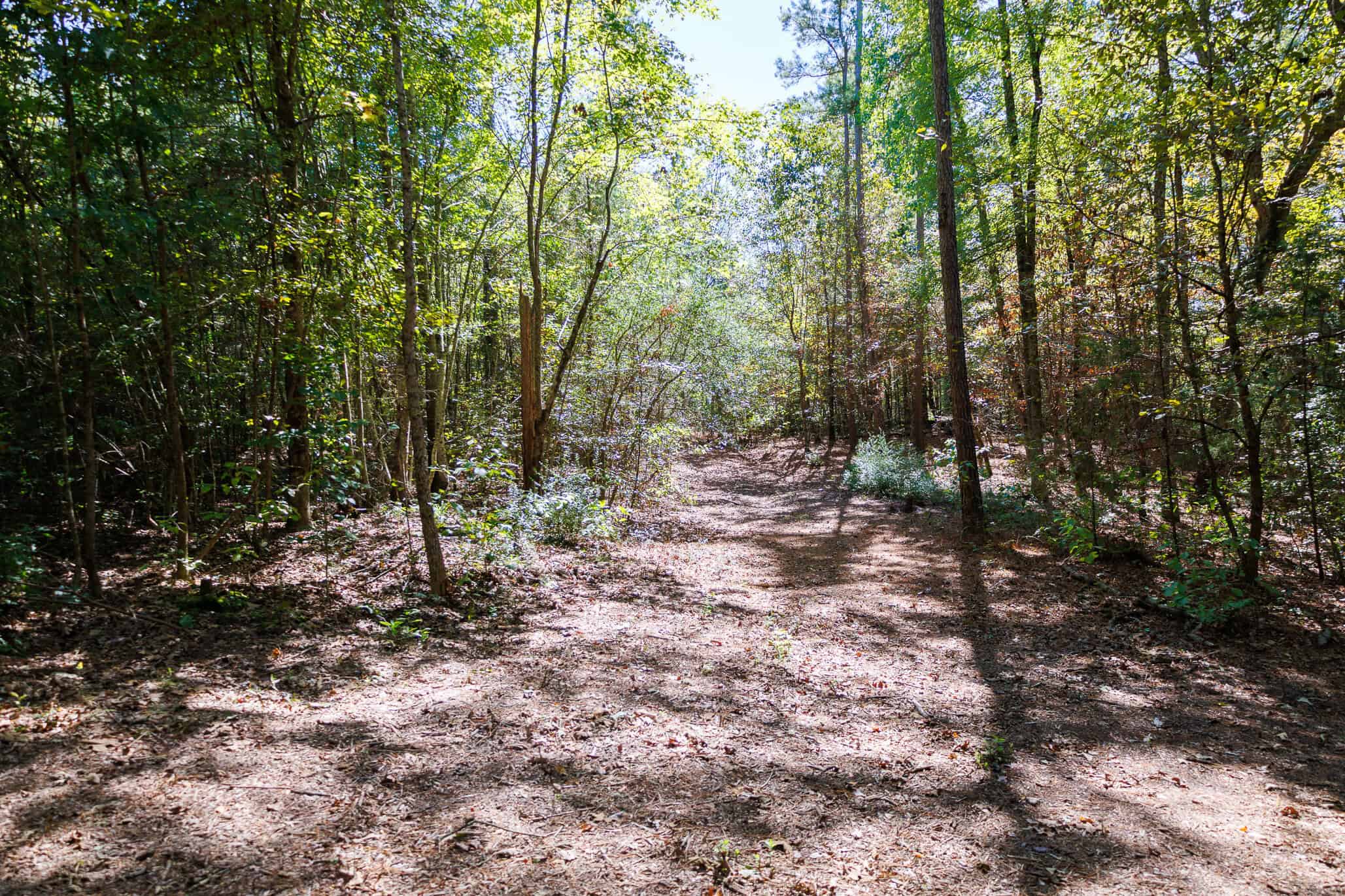 East Texas Recreational Land for Sale Gilmer TX Upshur County | Hunt & Timber