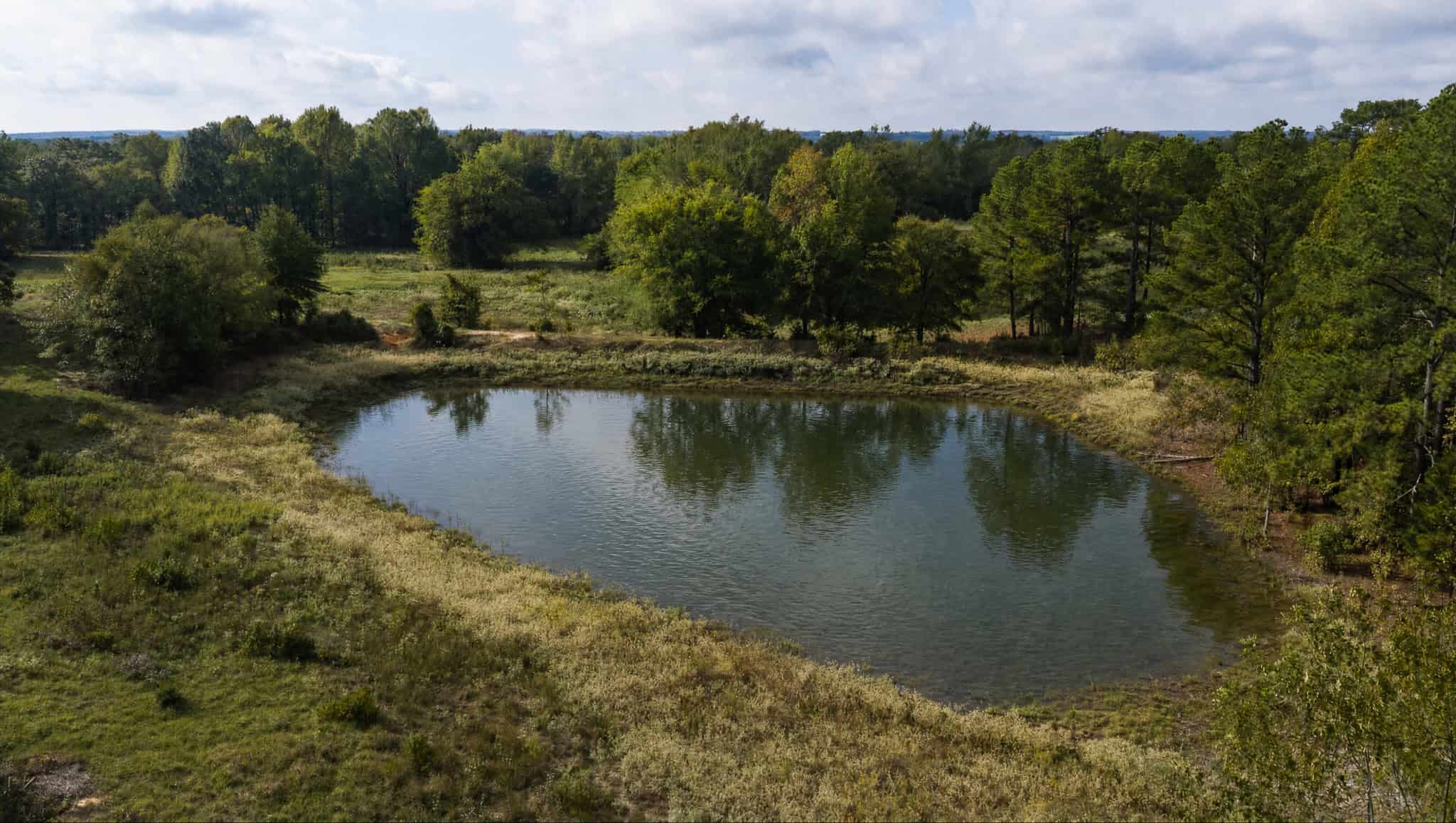 126-Acre Recreational Ranch for Sale in Mineola Texas Wood County