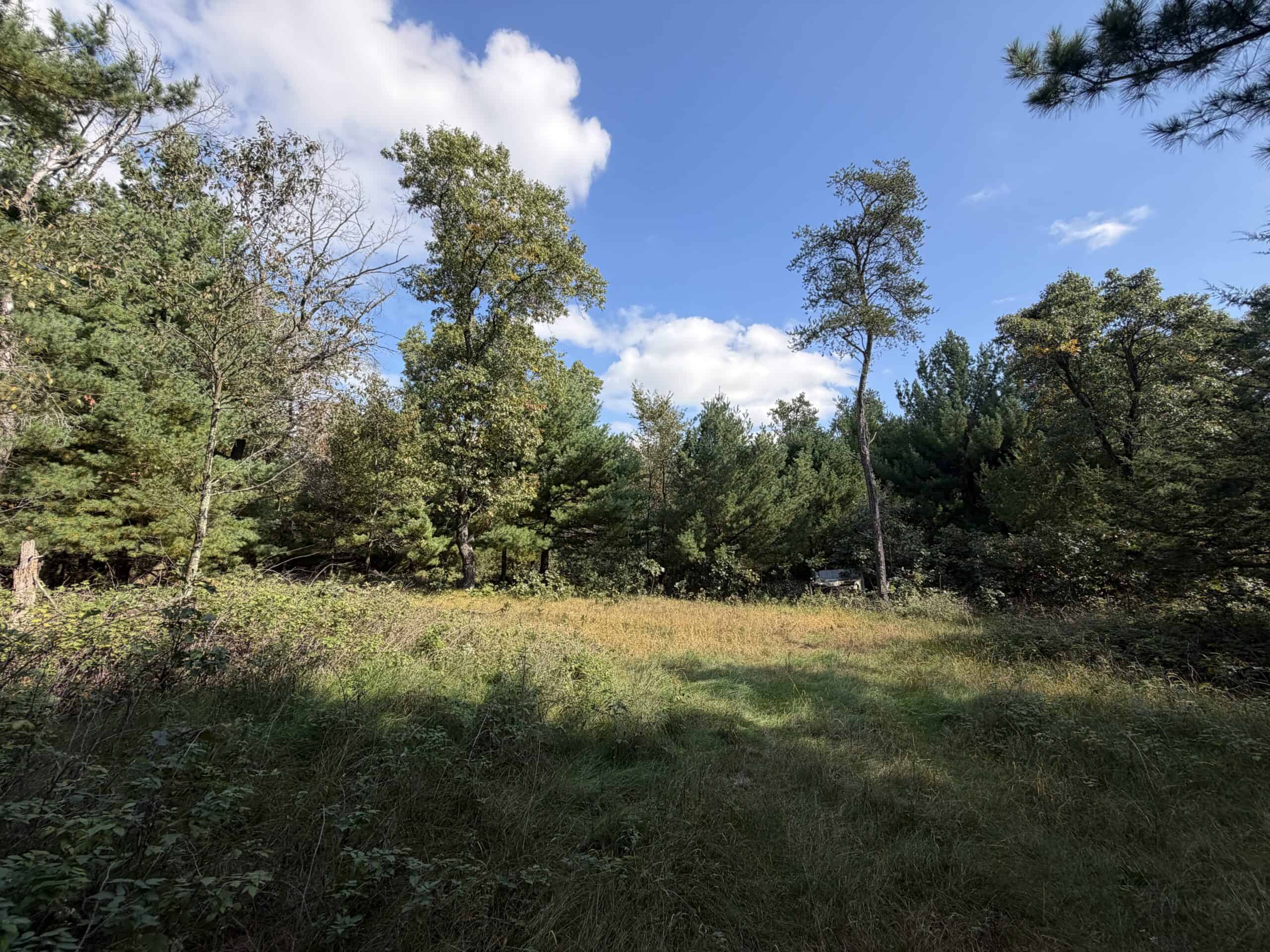 Buildable Hunting and Rec Property in Marquette County WI