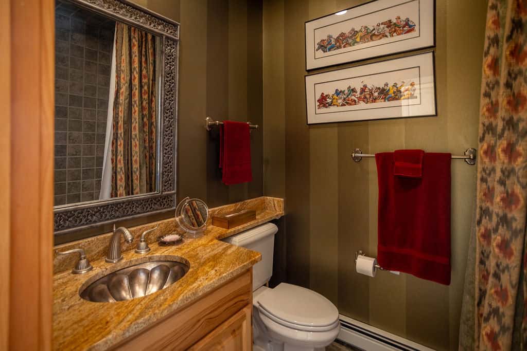 135 ± Acre Spring Valley Ranch for Sale Near Salida, CO