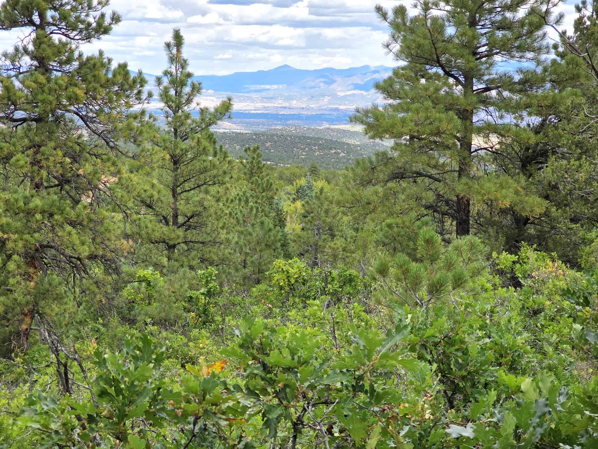 170.68 ± Acre Hunting Ranch by National Forest | Florence, CO