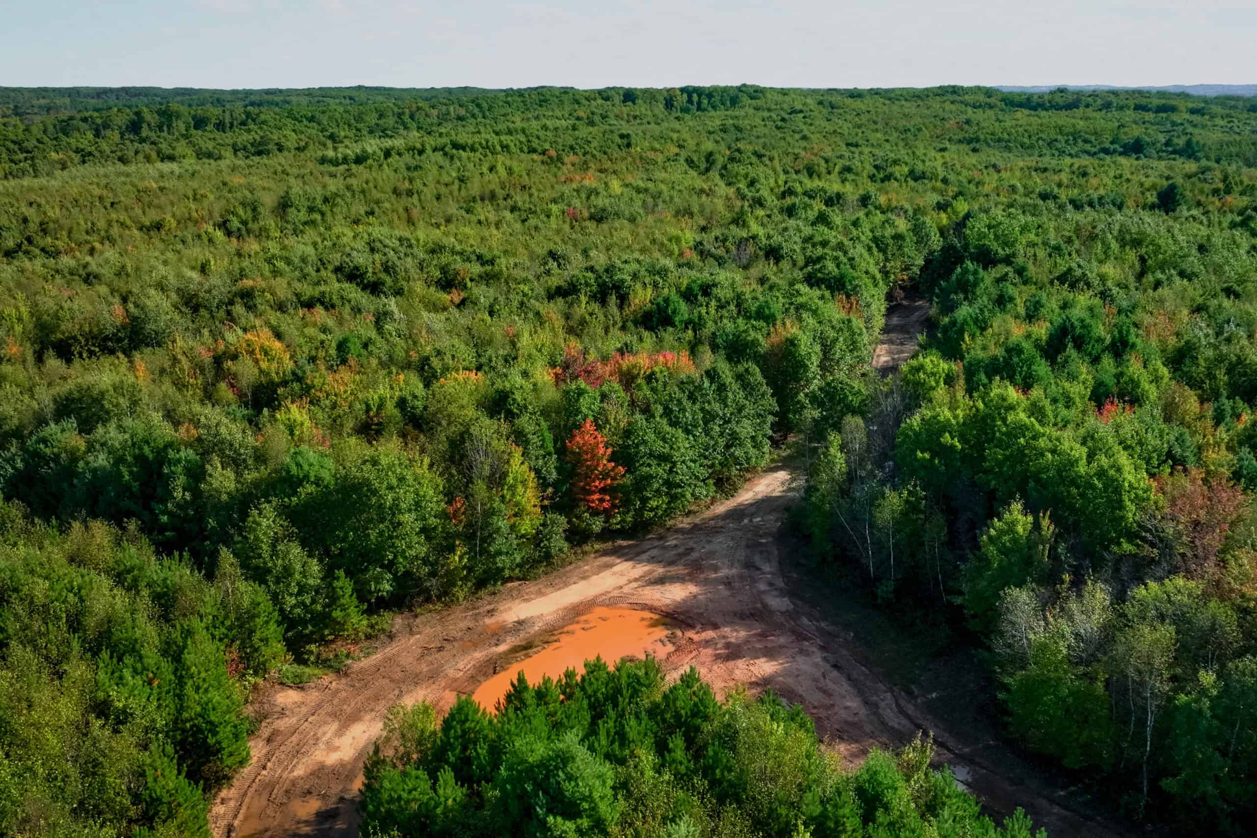369± acres of premier recreational and hunting land in Eau Claire County