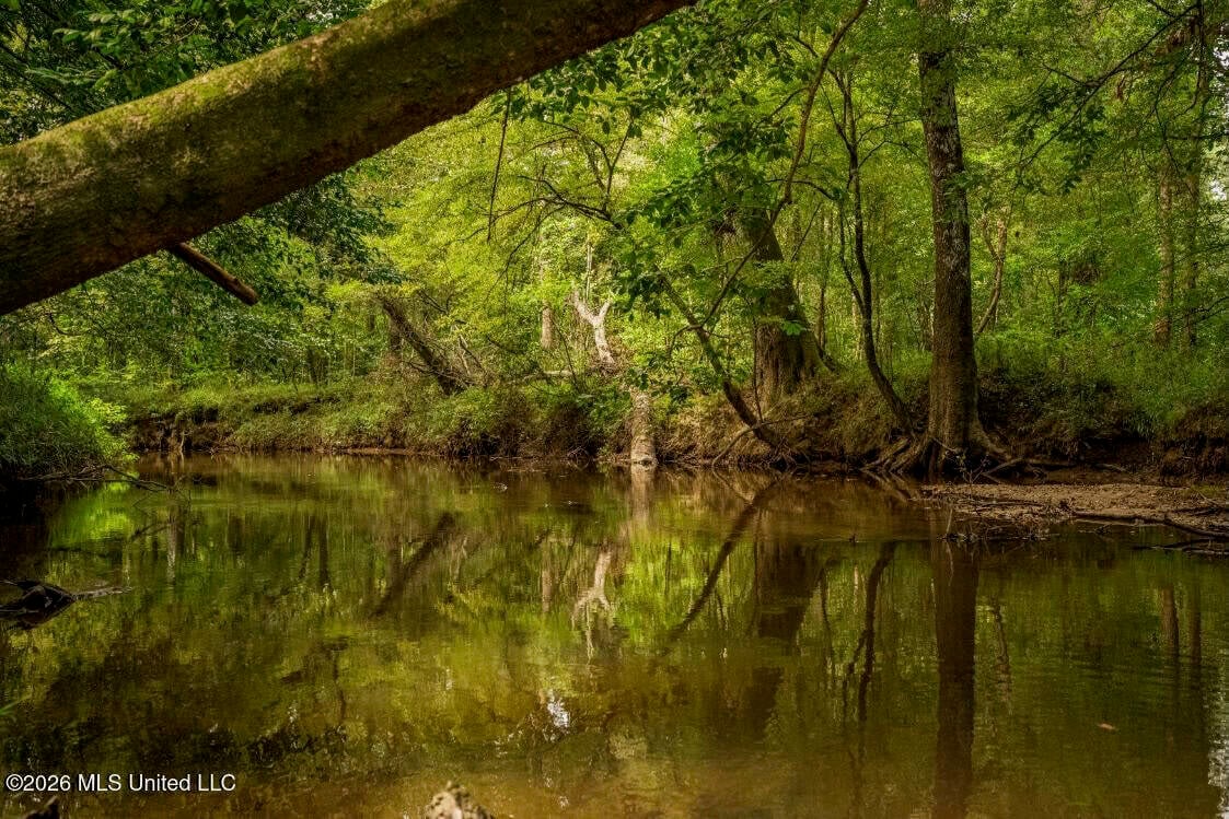 900 Acres for Sale – Hunter’s Paradise South Mississippi
