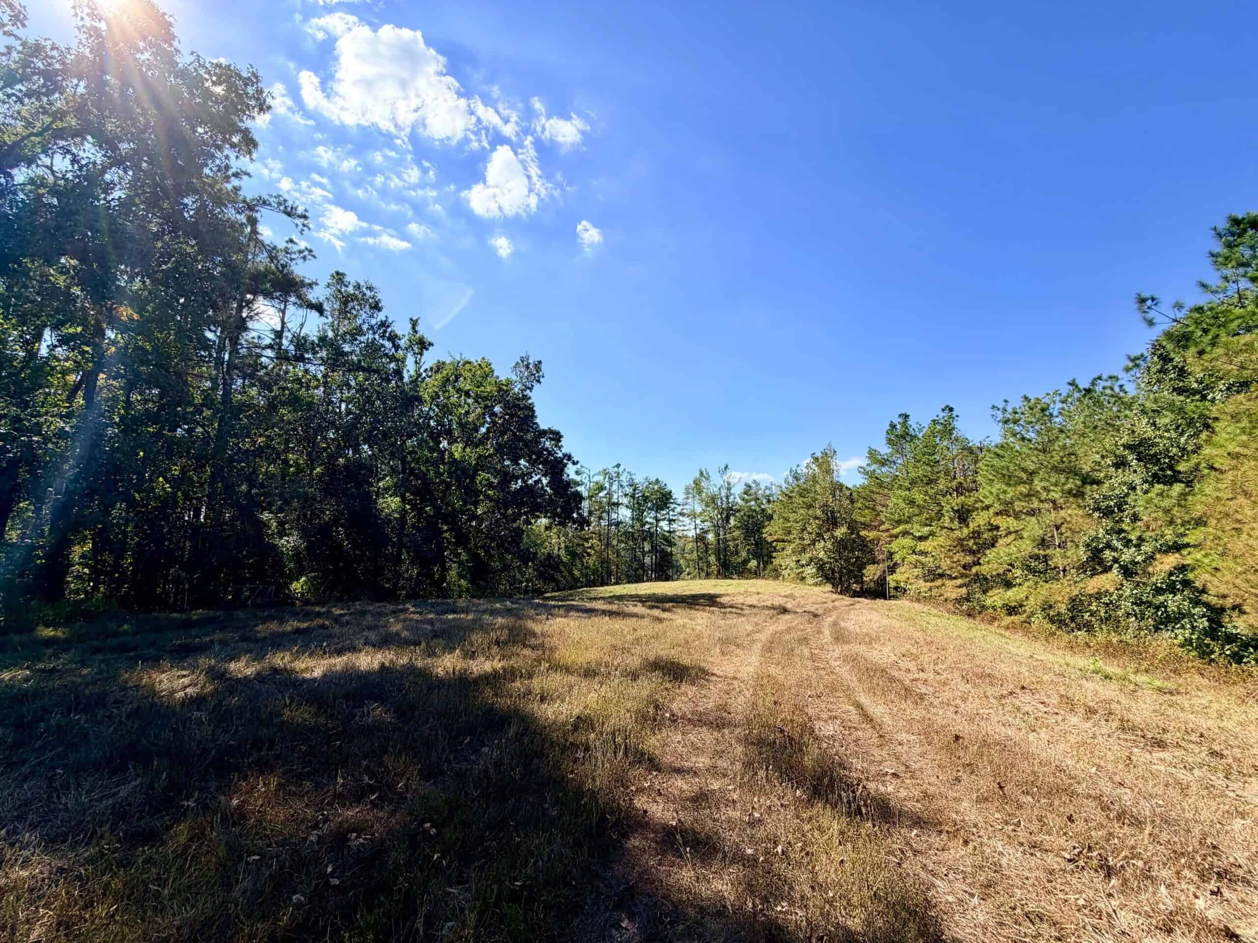 Farm, Breathtaking Home Site, INCREDIBLE Views, Tippah Co., MS