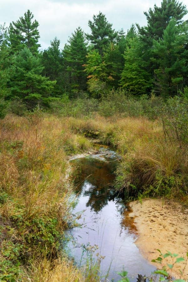 160+/- acres of Western Wisconsin hunting property Eau Claire Cty
