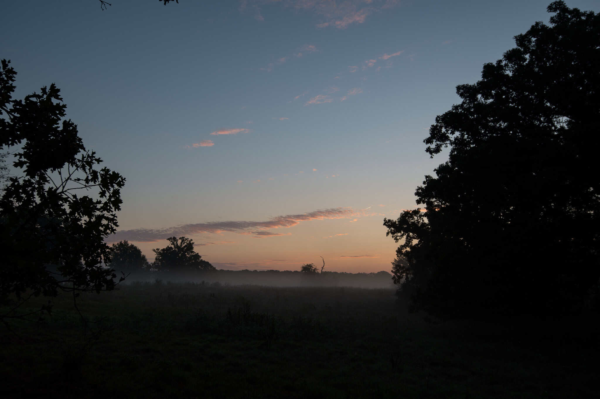 126-Acre Recreational Ranch for Sale in Mineola Texas Wood County