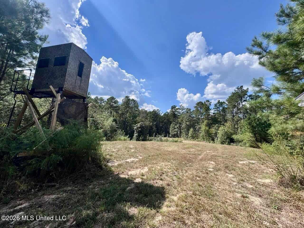 43± Acre Hunting Property in Amite County, MS