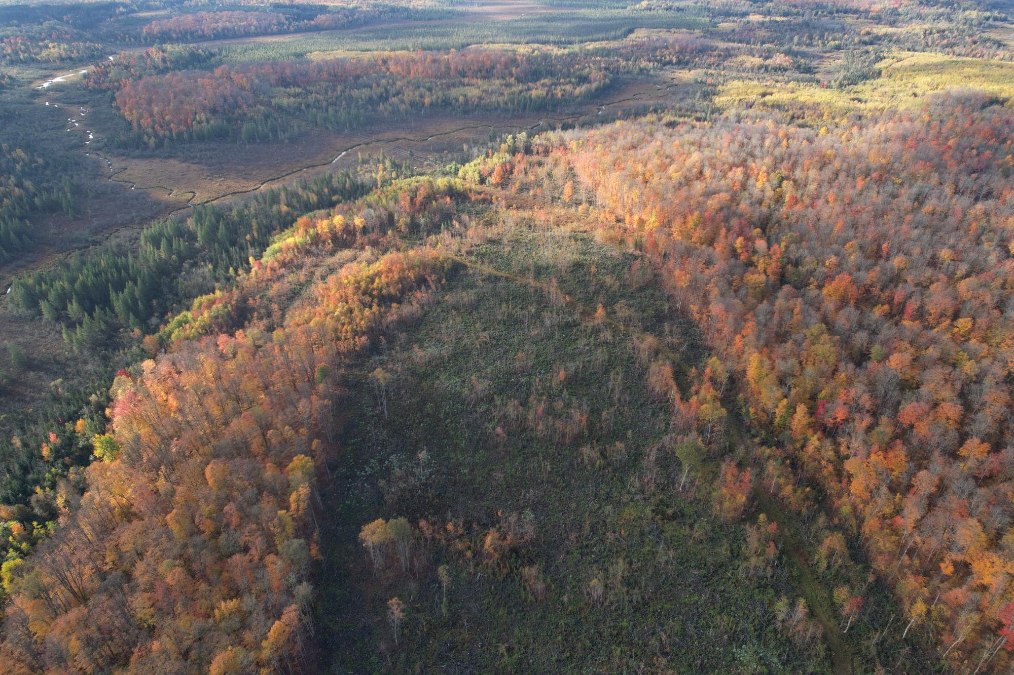 160 ± Acre Hunting Land with Camp Site Near Butternut, WI