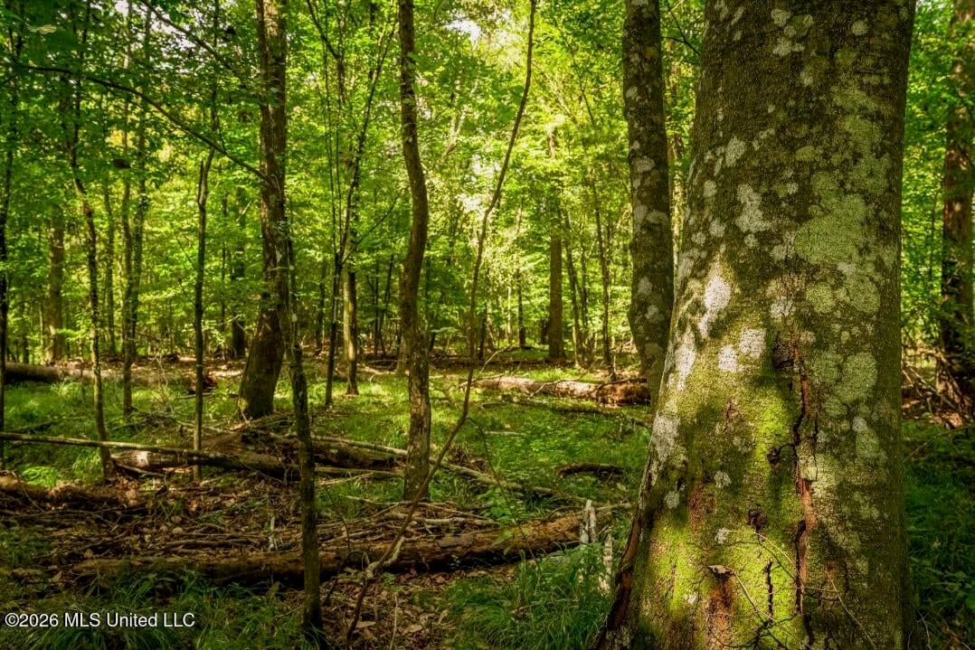 900 Acres for Sale – Hunter’s Paradise South Mississippi