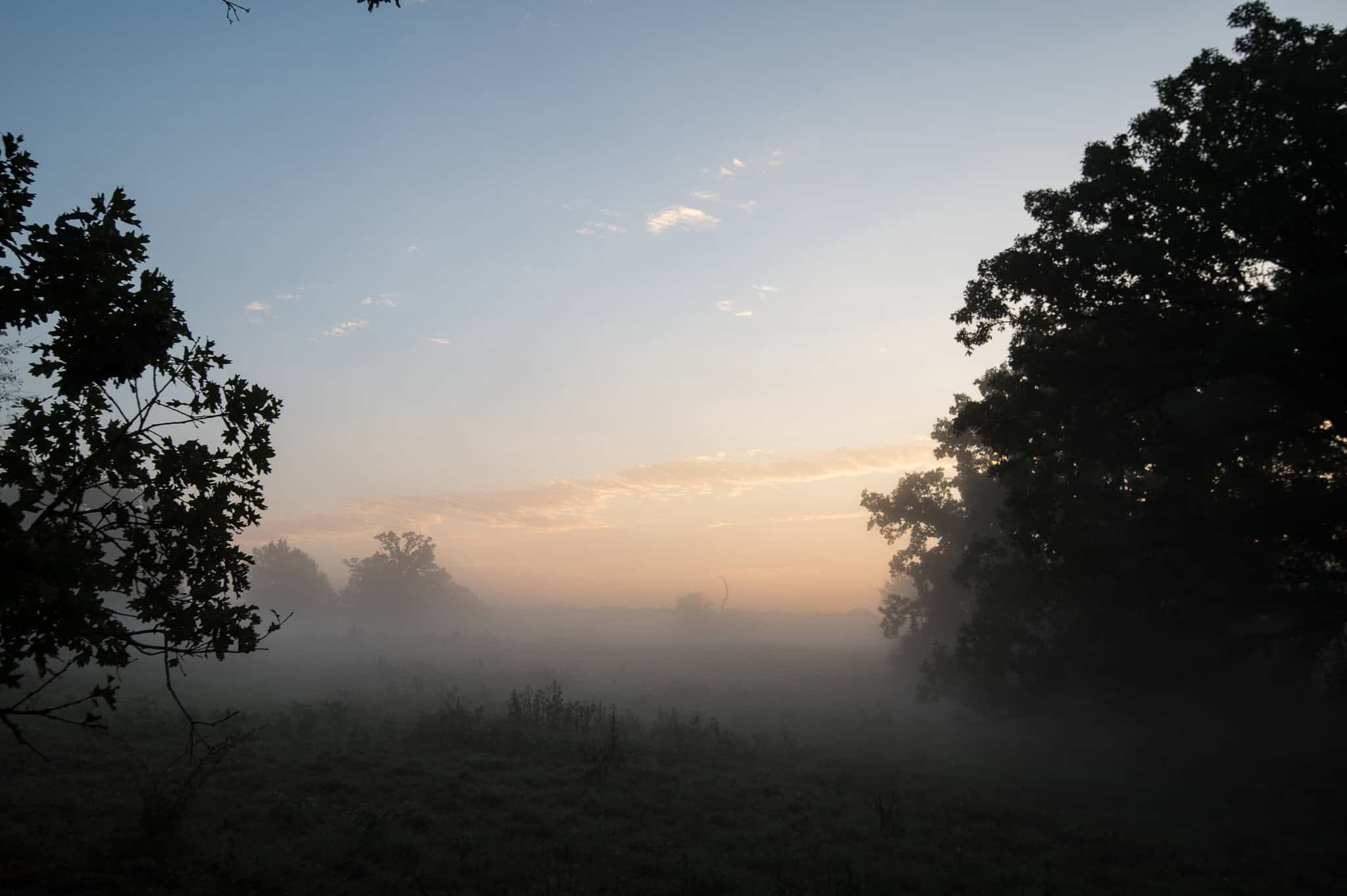 126-Acre Recreational Ranch for Sale in Mineola Texas Wood County