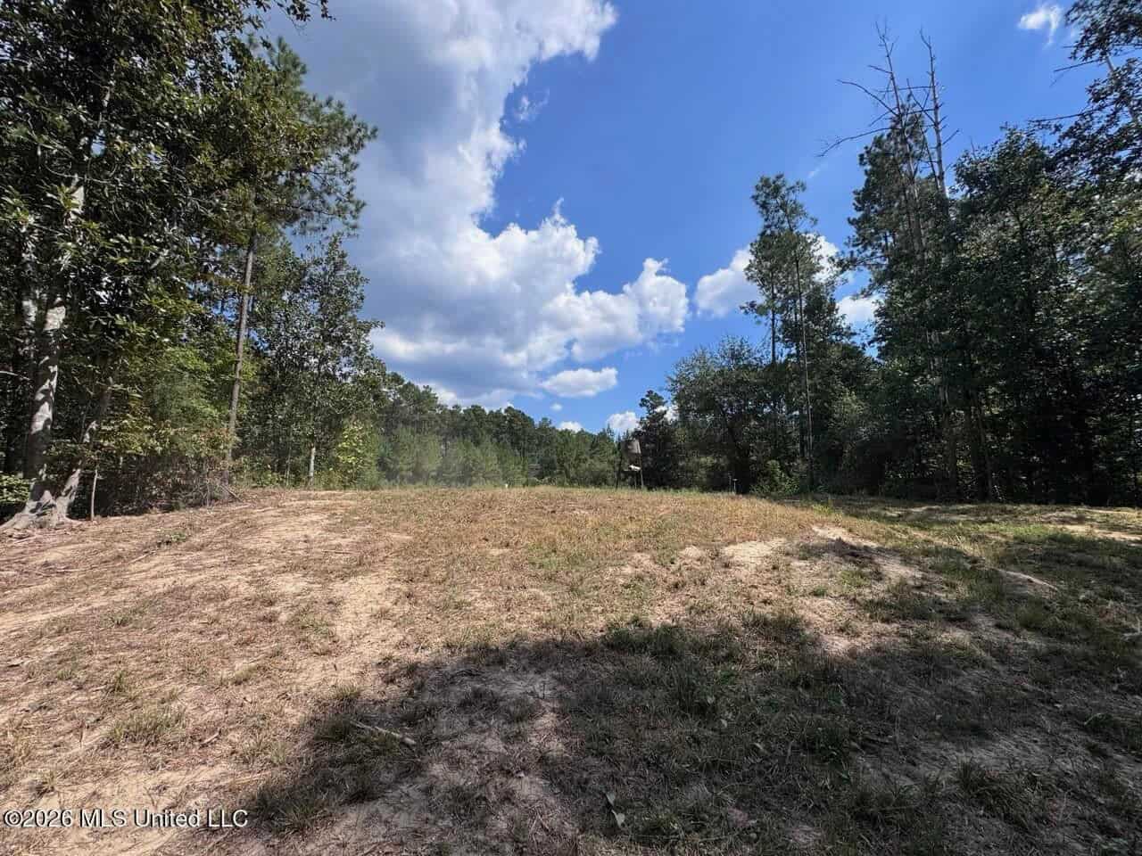 43± Acre Hunting Property in Amite County, MS