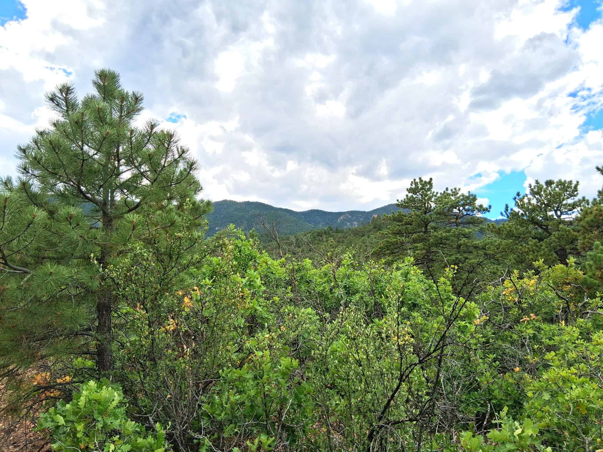 170.68 ± Acre Hunting Ranch by National Forest | Florence, CO
