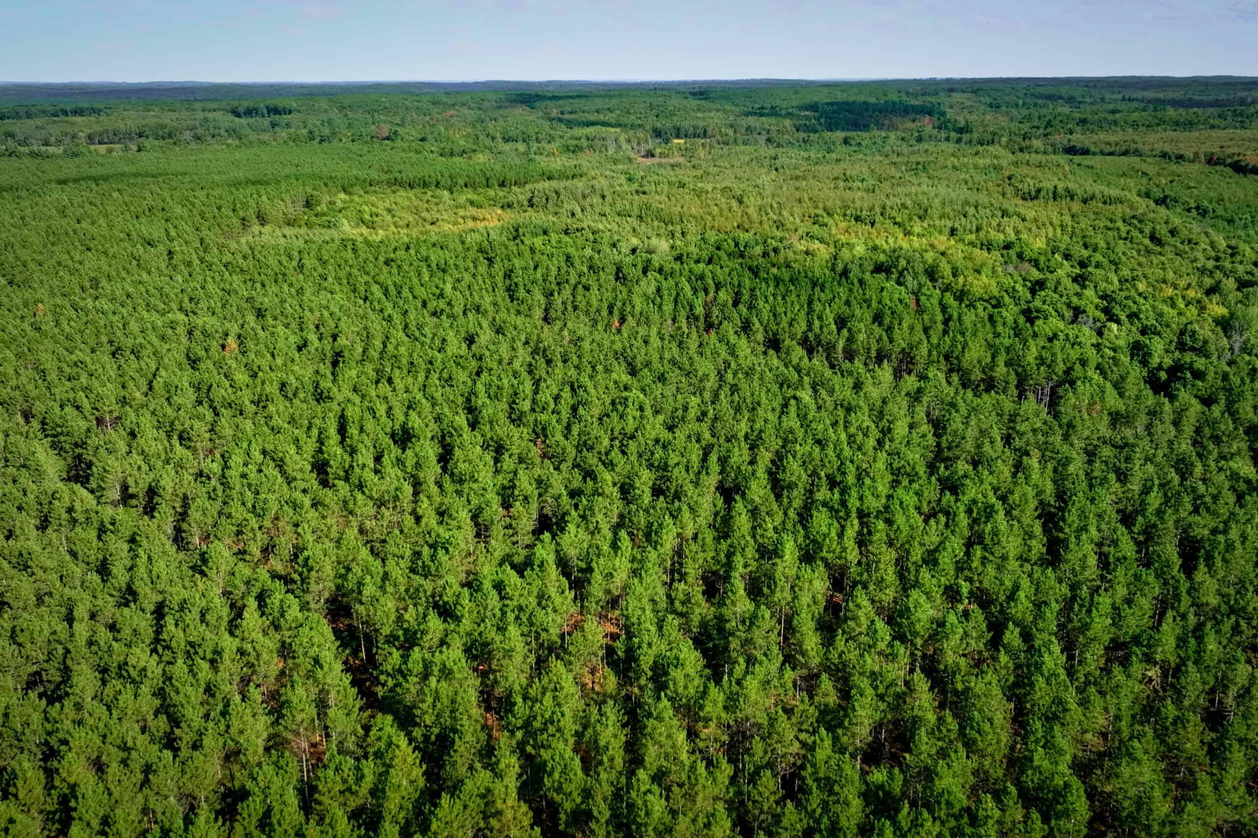 369± acres of premier recreational and hunting land in Eau Claire County