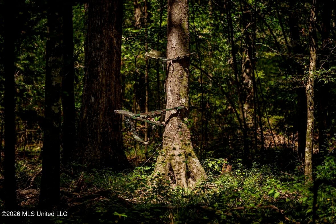 900 Acres for Sale – Hunter’s Paradise South Mississippi