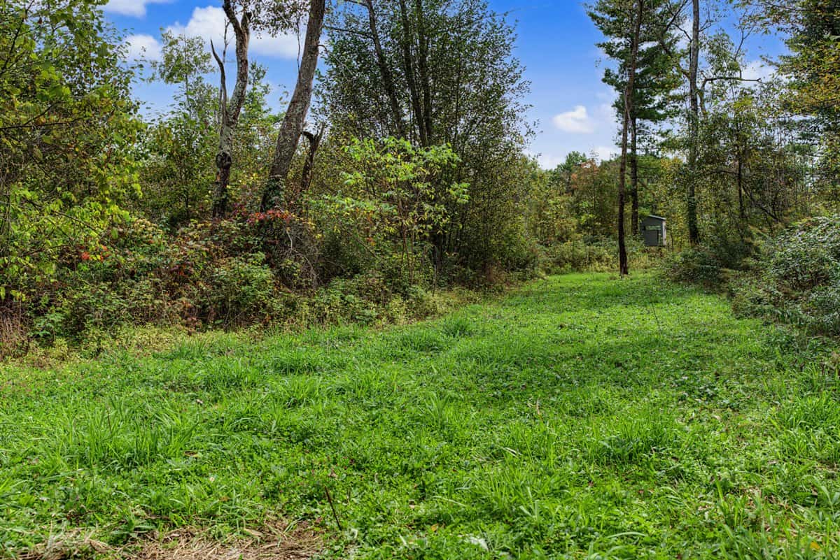 Turnkey 28± Acre Hunting Property Near Melrose, Wisconsin